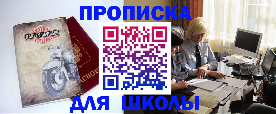 прописка штамп в Павловске